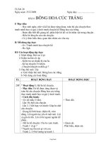 Giáo án môn học Kể chuyện 1 - Bài 4: Bông hoa cúc trắng