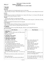 Giáo án tổng hợp lớp 3 - Tuần 32 năm 2010