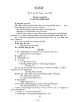 Giáo án giảng dạy lớp 3 - Tuần 20