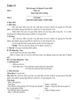 Kế hoạch bài học lớp 1 - Tuần dạy 11