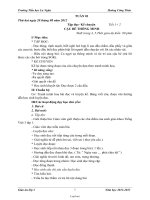 Giáo án Lớp 3 Tuần 1 - Trường Tiểu học La Ngâu