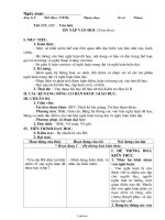 Giáo án Ngữ văn 8 - Kì II - Tiết 132, 133: Văn bản: Ôn tập văn học (tiếp theo)