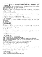 Giáo án Hoạt động giáo dục ngoài giờ lên lớp - Tuần 17, 18: Mùa xuân và truyền thống văn hóa quê hương, đất nước