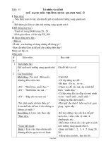 Giáo án môn Tự nhiên xã hội lớp 3 - Tiết 13: Giữ sạch môi trường xung quanh nha ở