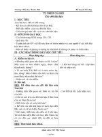 Giáo án Tổng hợp Lớp 3 - Tuần 33 - Năm học 2008-2009 - Đỗ Thị Xoan