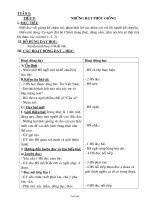 Giáo án Tiếng Việt lớp 4 Tuần 5