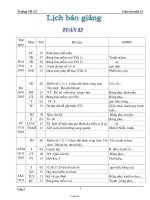 Giáo án các môn học lớp 2 - Tuần 13 - Trường TH AT