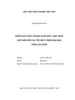 Đánh giá thực trạng giao đất, cho thuê đất đối với các tổ chức trên địa bàn tỉnh lai châu   
