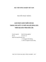 Giải pháp giảm thiểu rủi ro trong sản xuất cà phê cho hộ nông dân trên địa bàn tỉnh đắk lắk  luận án tiến sĩ  kinh tế nông nghiệp  62 62 01 15 
