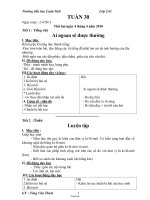 Giáo án Lớp 2 - Tuần 30 - Năm học 2010-2011 - Tòng Văn Thích