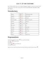 Giáo án English 6 - Unit 17: At the customs