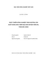 Phát triển nông nghiệp theo hướng sản xuất hàng hóa tren địa bàn huyện tiên du, tỉnh bắc ninh   