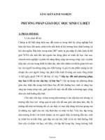 Sáng kiến kinh nghiệm Phương pháp giáo dục học sinh cá biệt