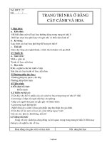 Giáo án Công nghệ 6 - Tiết 27: Trang trí nhà ở bằng cây cảnh và hoa - Nguyễn Thị Tuyết Minh