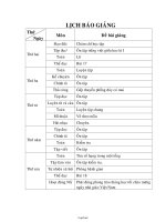 Giáo án Lớp 2 - Tuần 9 - Năm học 2007-2008