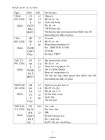 Thiết kế bài dạy các môn học lớp 1 - Tuần thứ 12