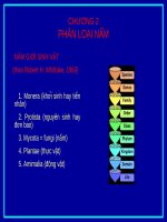 Bài giảng Sinh học và kỹ thuật trồng nấm - Chương 2: Phân loại nấm