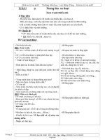 Giáo án môn Mĩ thuật lớp 3 - Tuần 1 đến tuần 14