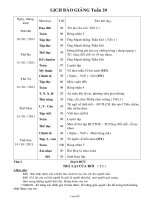 Thiết kế bài dạy lớp 2 - Tuần học 20