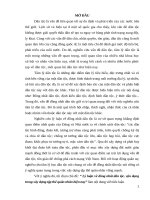 TIỂU LUẬN TÂM LÝ HỌC DÂN TỘC