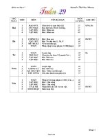 Giáo án Lớp 1 - Tuần 29 - Nguyễn Thị Cẩm Nhung