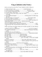 V-Ing or Infinitive after Verbs 1