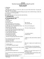 Giáo án tổng hợp Tuần số 19 - Lớp 3 năm 2012