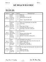 Giáo án Lớp 4 - Tuần 25 - Lâm Thị Thanh Thuý - Trường Tiểu học “C” Long Giang