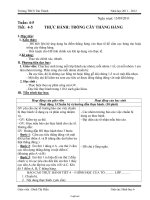 Giáo án lớp 6 môn học Hình học - Tuần 4, 5 - Tiết 4, 5: Thực hành: Trồng cây thẳng hàng