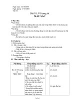 Giáo án Mĩ thuật 6 - Tiết 10, Bài 10: Vẽ trang trí Màu sắc - Năm học 2008-2009