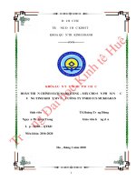 Hoàn thiện chính sách marketing-mix cho sản phẩm nước uống tinh khiết MV của công ty TNHH CCS MUKADHAN