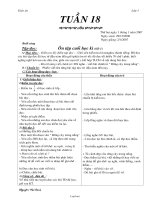 Giáo án Ngữ văn 8 - Tiết 39: Thông tin về ngày Trái Đất năm 2000 - Năm học 2006-2007 - Dương Thị Thảo Trang