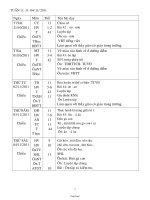 Thiết kế bài dạy các môn học lớp 1 - Tuần thứ 11