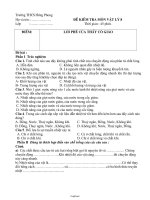 Giáo án English 6 - Unit 24: The Fashion show