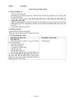 Giáo án môn Tiếng Việt - Tuần 1 đến tuần 7