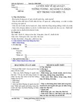 Giáo án dạy Ngữ văn 6 tiết 83: Luyện nói về quan sát, tưởng tượng, so sánh và nhận xét trong văn miêu tả