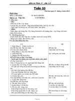 Thiết kế bài dạy lớp 1 - Trường Tiểu học Quang Trung - Tuần 33