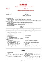 Giáo án các môn học khối 2 - Tuần thứ 15 năm 2010 - 2011