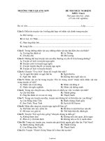 Đề thi trắc nghiệm môn: Văn 6