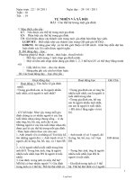 Giáo án Tự nhiên xã hội 3 tuần 10 đến 18