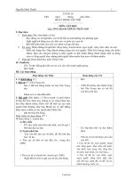 Giáo án các môn lớp 2 - Học kì II - Tuần 20