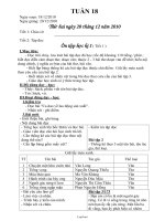 Thiết kế bài dạy lớp 2 - Tuần 18 năm 2010