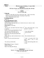 Giáo án 2 buổi Lớp 3 - Tuần 12 - Năm học 2006-2007