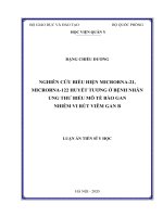 Luận án tiến sĩ nghiên cứu biểu hiện microRNA 21, microRNA 122 huyết tương ở bệnh nhân ung thư biểu mô tế bào gan