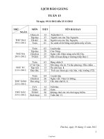 Giáo án dạy Lớp 3 Tuần 13 (39)