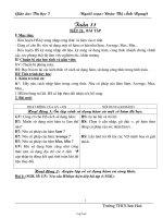 Giáo án Tin học 7 tuần 11 tiết 21+ 22: Bài tập + Kiểm tra 1 tiết