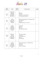 Giáo án Lớp 1 - Tuần 29 - Năm học 2007-2008