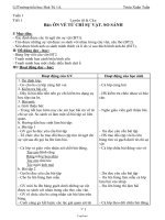 Giáo án Luyện từ và câu 3 kì 1 - Triệu Xuân Tuấn - Trường tiểu học Hoà Tú 1A