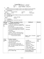 Giáo án môn Tiếng Anh 11 - Unit: 1 Lesson: friendship – reading (P2)