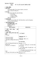 Giáo án tự chọn môn Ngữ văn 6 - Tiết 1 đến tiết 20